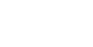 Lusus